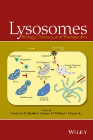 Lysosomes: Biology, Diseases, and Therapeutics 
