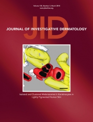 Journal of Investigative Dermatology 