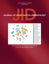 Journal of Investigative Dermatology 