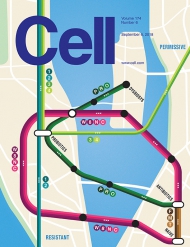 Cell    