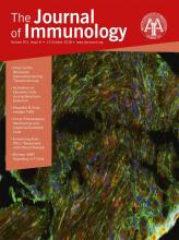 The Journal of Immunology   