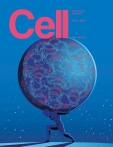 Cell   