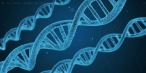 Čínský vědec při úpravě DNA dvojčat zřejmě selhal. Kritika míří na zkreslení údajů i ignorování norem
