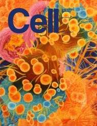 Cell