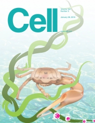 Cell