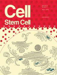 Cell - Stem Cell