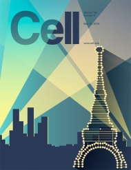 Cell