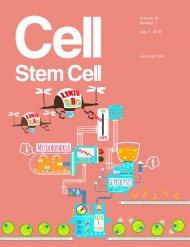 Cell - Stem Cell