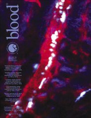 Blood