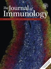 The Journal of Immunology
