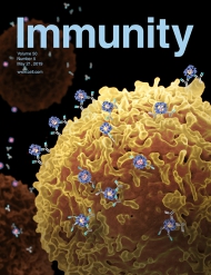 Cell - Immunity 