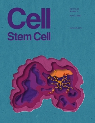 Cell - Stem Cell