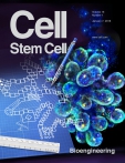 Cell - Stem Cell