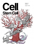 Cell - Stem Cell