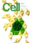 Cell 
