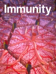 Cell – Immunity 
