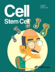 Cell - Stem cell