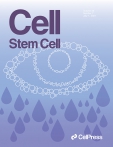Cell - Stem cell