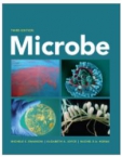 Microbe, 3rd Edition