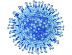 iHNed - WHO: Prasečí chřipka se nedá zastavit. Denně přibývají tisíce nakažených
