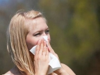 Noční můrou alergiků zůstává stále dominantní pyl břízy