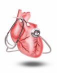 ZDRAVOTNICKÝ DENÍK: Zdravotní pojišťovny vydávají nejvíc na léčení nemocí srdce a cév