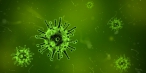 Odborníci nevědí jak pravděpodobný je přenos koronaviru do Evropy