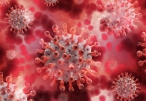 Čeští vědci popsali proteiny, které pomáhají koronaviru maskovat se před imunitním systémem